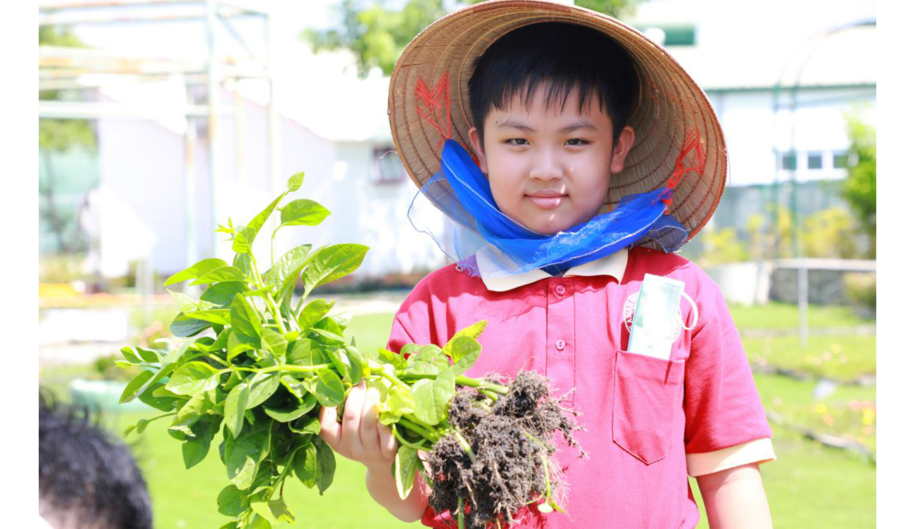 Học sinh Asian School thích thú khám phá Khu nông nghiệp công nghệ cao